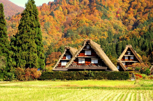 Cuộc sống yên bình của người dân trong 150 ngôi nhà mái dốc thuộc ngôi làng đẹp nhất Nhật Bản - Ảnh 11.