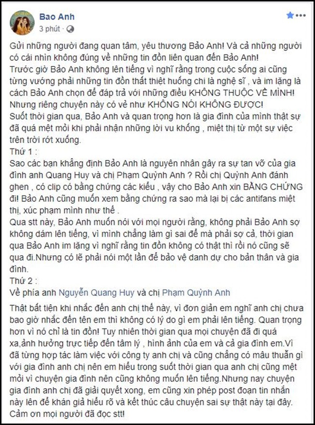 Bảo Anh công khai tin nhắn với Phạm Quỳnh Anh, chính thức lên tiếng về lời đồn bị vợ cũ Quang Huy đánh ghen - Ảnh 2.