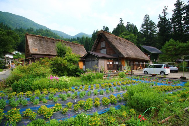 Cuộc sống yên bình của người dân trong 150 ngôi nhà mái dốc thuộc ngôi làng đẹp nhất Nhật Bản - Ảnh 30.