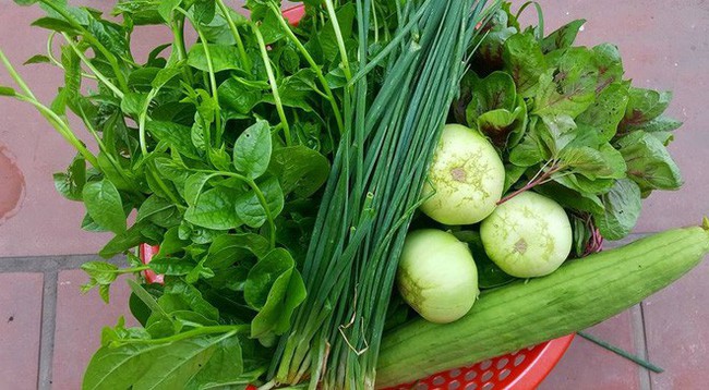 6 cách ăn rau quả tốt nhất cho sức khỏe: Bí quyết đơn giản nhưng không phải ai cũng biết - Ảnh 2. 6 cách ăn rau quả tốt nhất cho sức khỏe: Bí quyết đơn giản nhưng không phải ai cũng biết - Ảnh 2.