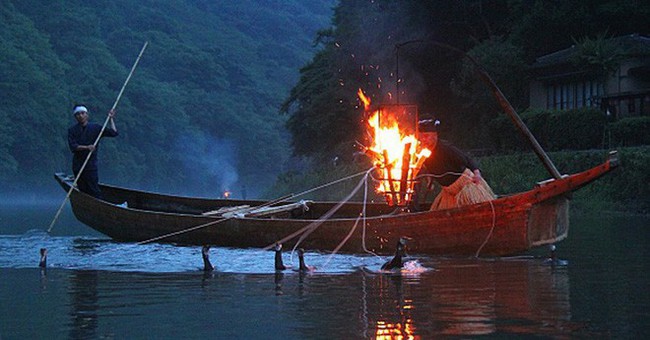 Đây là cách đánh cá độc đáo giúp người Nhật được UNESCO vinh danh - Ảnh 1.