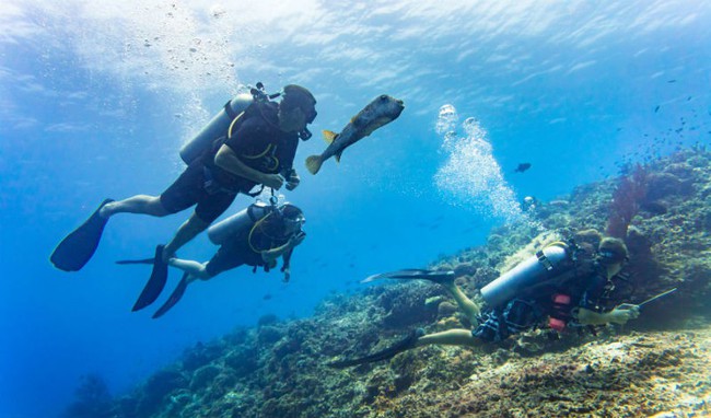 Không thể đến bên nhau vì lý do ngỡ bình thường mà lại nghiêm trọng, sau 5 năm đấu tranh cặp đôi này đã có cái kết... - Ảnh 1.