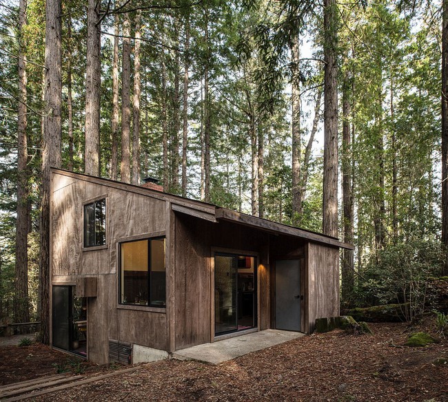 Ngôi nhà gỗ nằm giữa rừng Redwood gây thương nhớ vì vẻ đẹp hiện đại của mình - Ảnh 1.