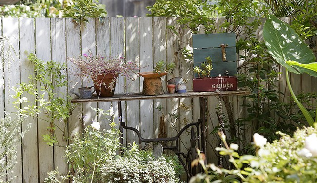 Cô gái trẻ tự tay cải tạo không gian cũ kỹ thành ngôi nhà vườn đẹp lãng mạn với cây xanh - Ảnh 13.