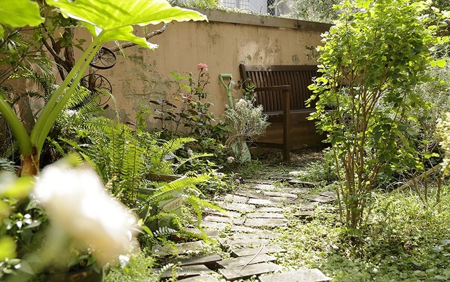 Cô gái trẻ tự tay cải tạo không gian cũ kỹ thành ngôi nhà vườn đẹp lãng mạn với cây xanh - Ảnh 14.