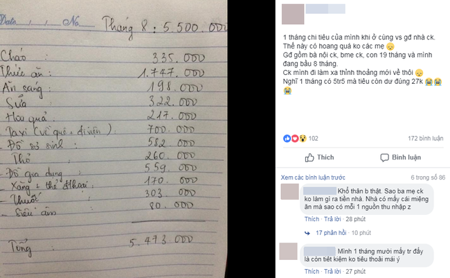 Tổng thu 5,5 triệu chi tiêu nhà 5 người, cuối tháng chốt sổ chỉ dư đúng 27 nghìn, mẹ bầu hoang mang, chị em khen quá giỏi - Ảnh 1.