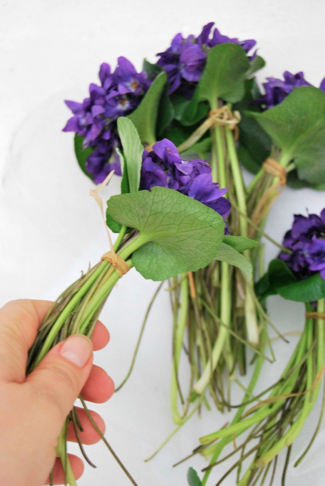 Cách cắm hoa Violet dễ ợt ai cũng có thể tự tay làm được để trang trí nhà đón Tết - Ảnh 1.