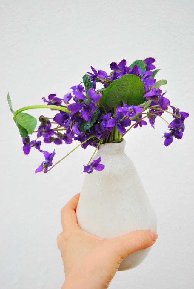 Cách cắm hoa Violet dễ ợt ai cũng có thể tự tay làm được để trang trí nhà đón Tết - Ảnh 4.