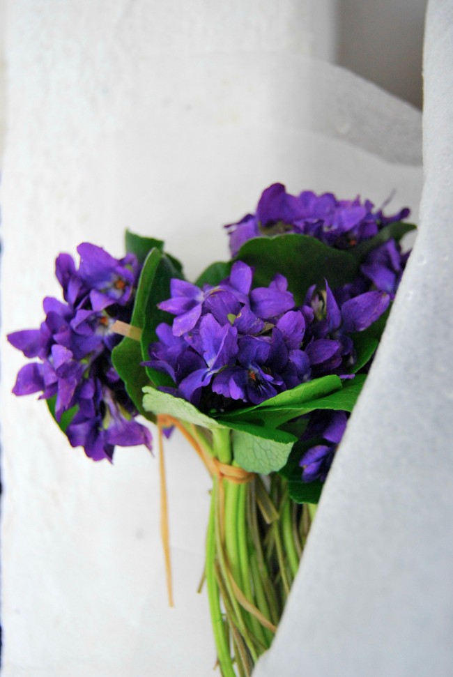 Cách cắm hoa Violet dễ ợt ai cũng có thể tự tay làm được để trang trí nhà đón Tết - Ảnh 8.