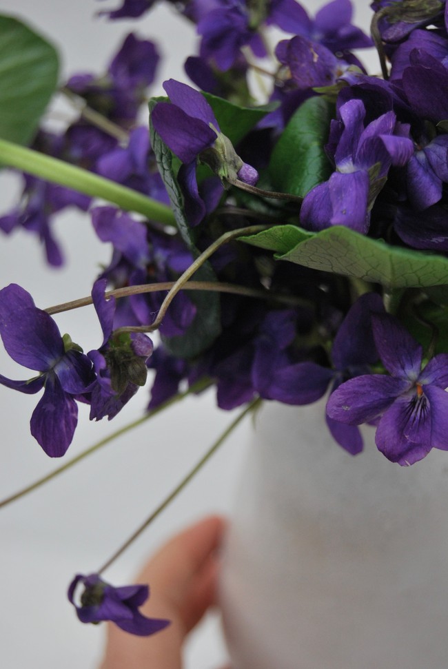 Cách cắm hoa Violet dễ ợt ai cũng có thể tự tay làm được để trang trí nhà đón Tết - Ảnh 6.