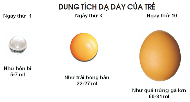 Thay vì cho con bú theo cữ cố định, đây mới là việc các nhà khoa học khuyên mẹ sữa nên làm - Ảnh 1.