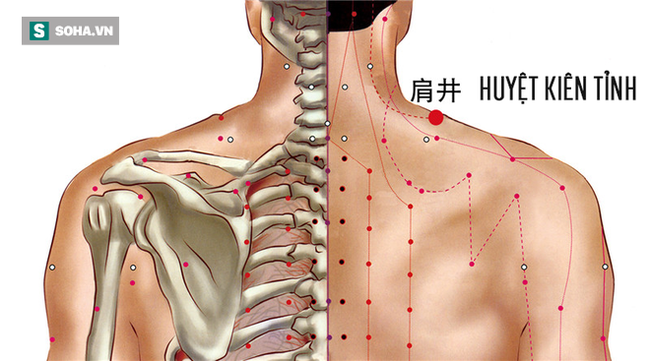 Day bấm 3 huyệt vị tốt nhất cho chuyện ấy: Cả nam và nữ đều nhận được những lợi ích vàng - Ảnh 3.