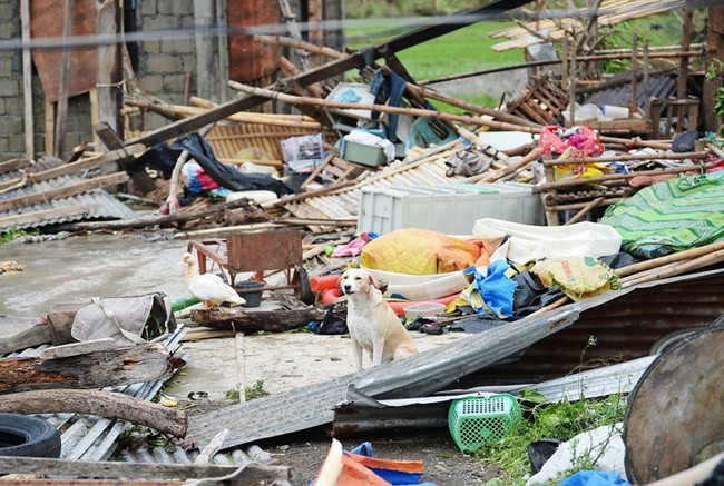 Số người chết vì bão Mangkhut ở Philippines tăng chóng mặt - Ảnh 6.