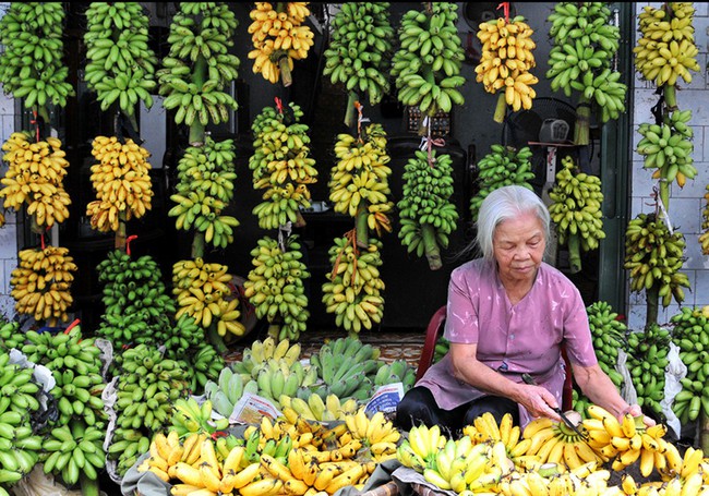 Điểm lại những loại trái cây tiến vua ngon nức tiếng của Việt Nam - Ảnh 6.
