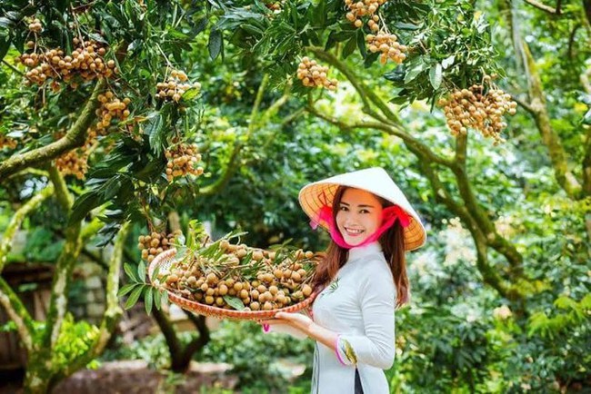 Điểm lại những loại trái cây tiến vua ngon nức tiếng của Việt Nam - Ảnh 3.