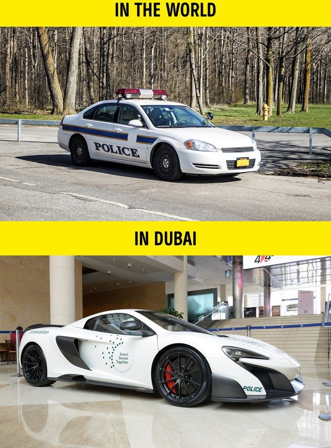 9 sự thật không thể đỡ được khiến bạn phải ngã ngửa khi nhắc đến Dubai - Ảnh 2.