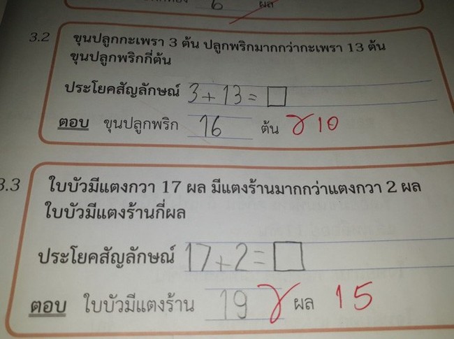 Chấm toán 12+8=4, cô giáo trẻ gây tranh cãi khi phép tính cơ bản còn sai - Ảnh 4.