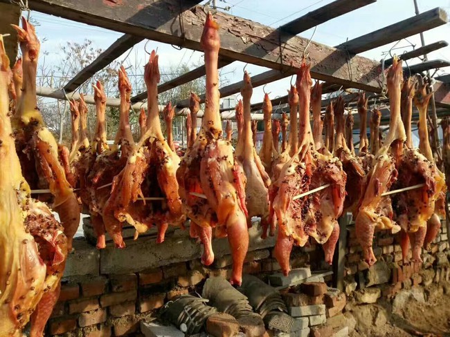 Gà hong gió - đặc sản có cái tên lãng mạn của cao nguyên Tây Tạng, được làm nên một cách tàn nhẫn từ những trái tim lạnh giá - Ảnh 8. Gà hong gió - đặc sản có cái tên lãng mạn của cao nguyên Tây Tạng, được làm nên một cách tàn nhẫn từ những trái tim lạnh giá - Ảnh 8.