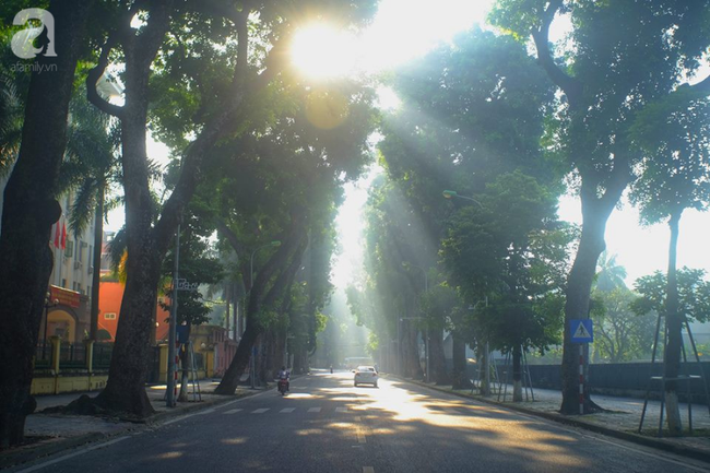 Mùa thu ghé Hà Nội rồi, đấy chính là lúc bạn tận hưởng 4 điều ngọt lịm này đi thôi - Ảnh 2.