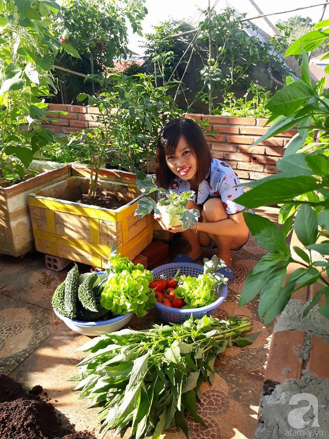 Khu vườn sân thượng tuy nhỏ nhưng bạt ngàn rau sạch của người chồng dồn sức chăm bón cho vợ con ở Vũng Tàu - Ảnh 12.