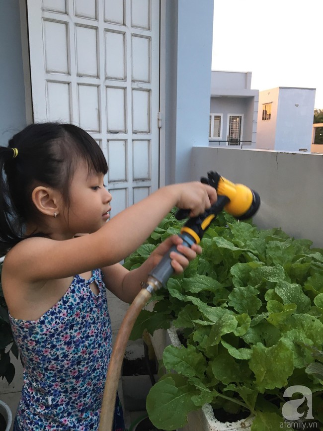 Ông bố trồng rau củ trên sân thượng tươi tốt quanh năm chỉ nhờ duy nhất vào phân dơi - Ảnh 5.