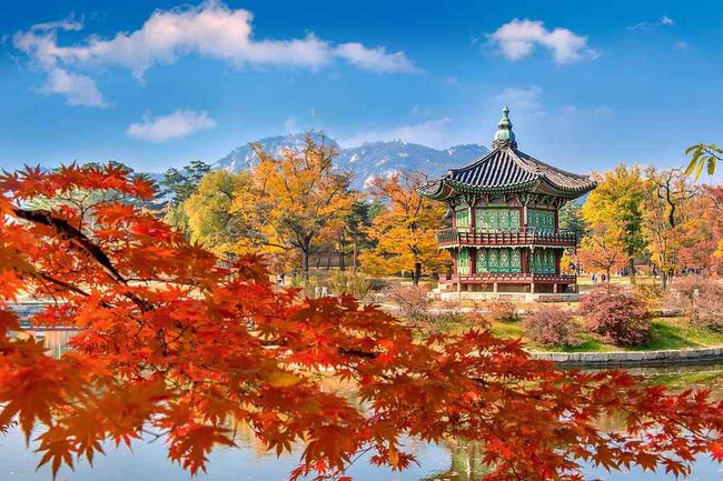 5 trải nghiệm đáng giá từng xu nhất định phải thử khi đến Hàn Quốc thu này - Ảnh 2.