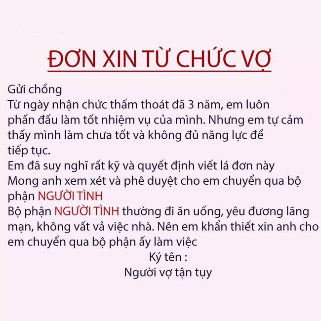 Trào lưu từ chức vợ để chuyển sang bộ phận người tình và phản ứng bất ngờ của các anh chồng gây sốt mạng - Ảnh 1.