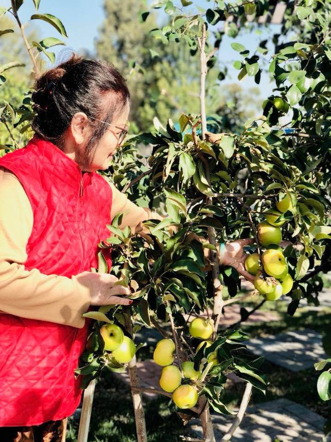 Khu vườn đủ các loại cây quả mang hương vị quê nhà của ca sĩ Bằng Kiều ở Mỹ - Ảnh 8.