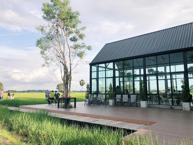 Quán cà phê rộng 30ha, view ruộng lúa bao la xanh ngát ở Thái Lan đang gây sốt rần rần - Ảnh 9. Quán cà phê rộng 30ha, view ruộng lúa bao la xanh ngát ở Thái Lan đang gây sốt rần rần - Ảnh 9.