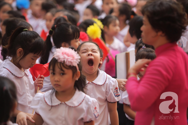 Ngắm những khoảnh khắc không thể nào quên khi các bé òa khóc, ngáp ngủ trong lễ khai giảng sáng nay - Ảnh 22.