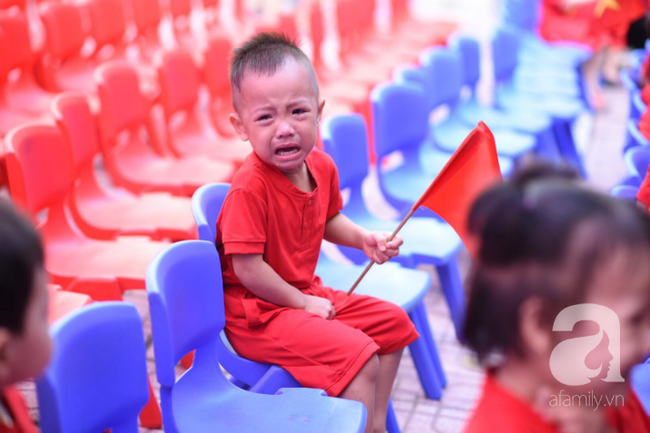 Ngắm những khoảnh khắc không thể nào quên khi các bé òa khóc, ngáp ngủ trong lễ khai giảng sáng nay - Ảnh 10.