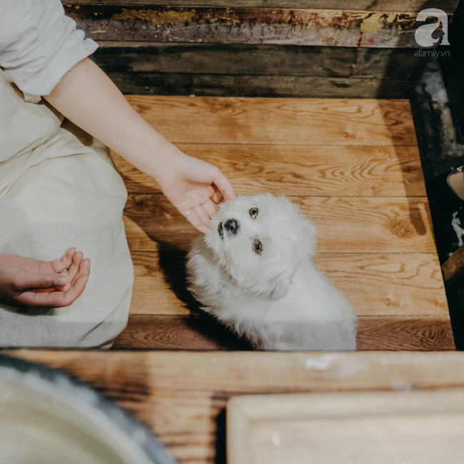 Có một góc Nhật Bản đẹp như trong mơ để an nhiên tìm những phút giây là chính mình giữa Đà Lạt sương mờ - Ảnh 3.