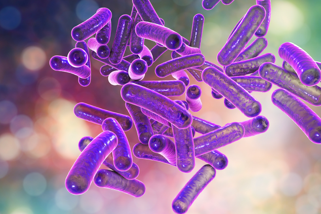 Cảnh báo: 12 loại vi khuẩn kháng kháng sinh đáng sợ đang là mối đe dọa rất lớn đến sức khỏe con người  - Ảnh 14.