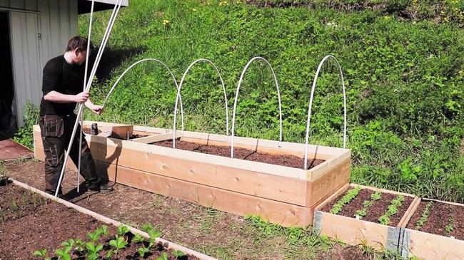 4 ý tưởng không thể hoàn hảo hơn để tự làm nhà nilon trồng rau với chi phí tiết kiệm nhất - Ảnh 3.