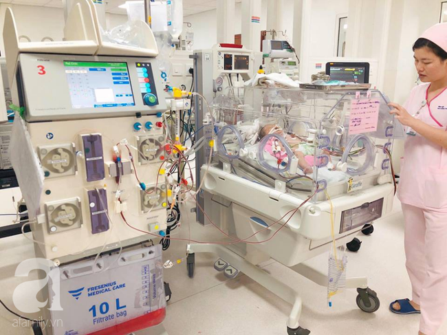 10 kỹ thuật y tế nổi bật năm 2018 tại TP. HCM: Gấu ngủ đông cứu Việt kiều, phẫu thuật robot cứu mạng thai phụ - Ảnh 11.