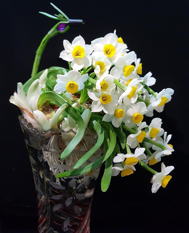 Hoa thuỷ tiên - loại hoa đẹp tinh tế không thể thiếu trong trang trí nhà mỗi dịp Tết đến Xuân về - Ảnh 5.
