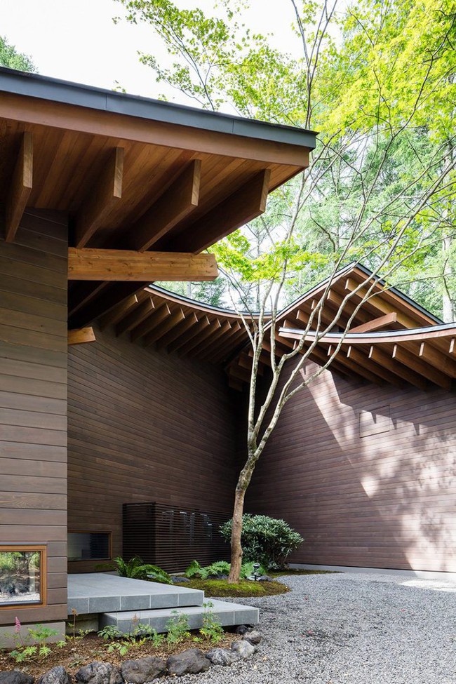 Ngôi nhà tối giản nằm giữa rừng cây ở Nhật Bản gây chú ý vì phần mái giống 4 chiếc lá đang chụm vào nhau - Ảnh 4.