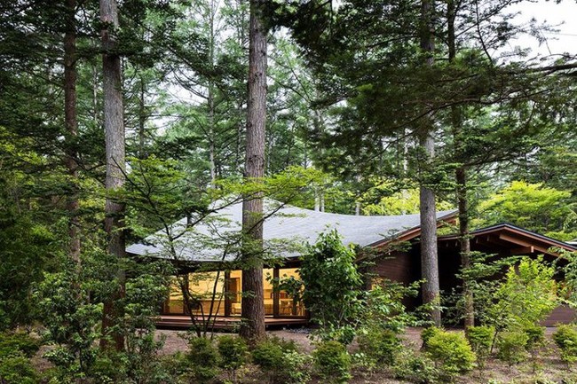 Ngôi nhà tối giản nằm giữa rừng cây ở Nhật Bản gây chú ý vì phần mái giống 4 chiếc lá đang chụm vào nhau - Ảnh 5.