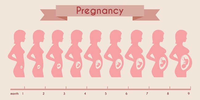 Trước nghi vấn Meghan mang thai giả, thử so sánh kích cỡ bụng của nàng dâu hoàng gia với các mẹ bầu cùng tháng khác - Ảnh 9.