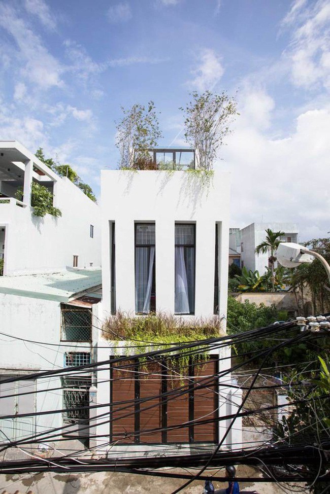 Ngôi nhà trong hẻm nhỏ nhưng đầy bóng nắng và cây xanh ở thành phố Đà Nẵng - Ảnh 8.