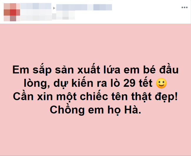 Mẹ trẻ gây cười khi nhờ dân mạng đặt tên cho lứa em bé đầu lòng, kết quả thu được cũng hài hước không kém - Ảnh 1.