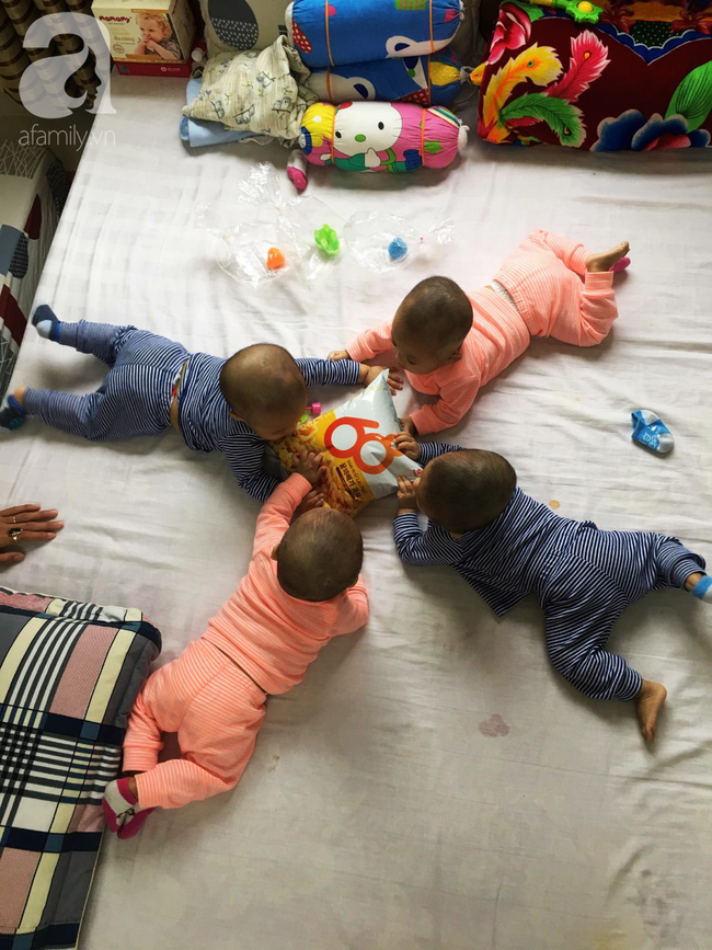 Mẹ trẻ “đánh cược” mạng sống sinh tứ thai đón mùa xuân đầu tiên bên các con: “Tết của em dựa hết vào chồng” - Ảnh 2. Mẹ trẻ “đánh cược” mạng sống sinh tứ thai đón mùa xuân đầu tiên bên các con: “Tết của em dựa hết vào chồng” - Ảnh 2.
