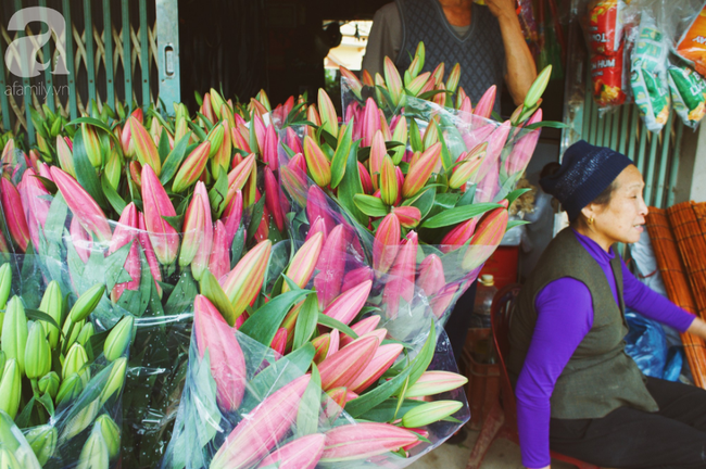 Không khí Tết rộn ràng ở làng hoa lớn nhất Hà Nội, ai cũng thích mê những đóa lily khổng lồ được trồng ở đây - Ảnh 8.