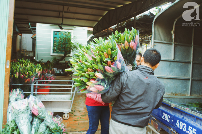 Không khí Tết rộn ràng ở làng hoa lớn nhất Hà Nội, ai cũng thích mê những đóa lily khổng lồ được trồng ở đây - Ảnh 20.