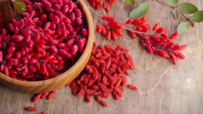 Ăn quả kỷ tử giúp bạn đạt được những lợi ích không tưởng này - Ảnh 1. Ăn quả kỷ tử giúp bạn đạt được những lợi ích không tưởng này - Ảnh 1.