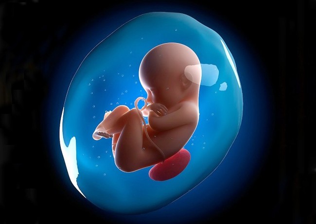 Giải mã tất tần tật về hiện tượng dây rốn quấn cổ thai nhi khiến nhiều mẹ bầu lo lắng - Ảnh 5.
