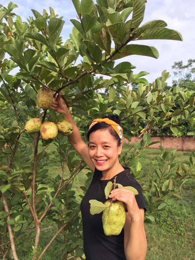 Sát Tết, NSƯT Chiều Xuân thu hoạch cả nghìn quả bưởi ở khu vườn của gia đình - Ảnh 18.