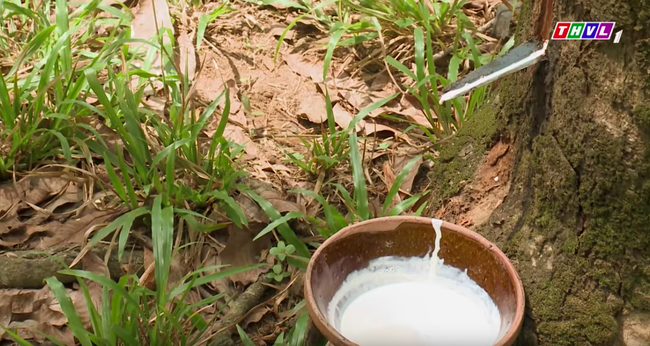 &quot;Tiếng sét trong mưa&quot;: Đêm Khải Duy đánh vợ khi ân ái, ngày đập đầu người như đập cá, nhưng đáng nói là có nhân vật đẹp trai xuất hiện  - Ảnh 3.