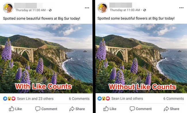 Facebook thí điểm tắt &quot;Like&quot; trên các page lớn, tạm biệt những &quot;ngón cái từ thiện&quot; của hội ban phát like dạo - Ảnh 3.