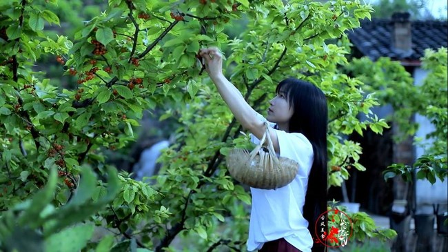 Từng nghĩ làm video không vì mục đích lợi nhuận, &quot;tiên nữ đồng quê&quot; Lý Tử Thất bỗng dưng trở thành triệu phú ở tuổi 30 - Ảnh 12.